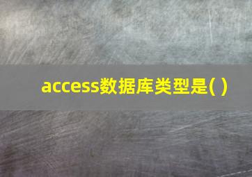 access数据库类型是( )